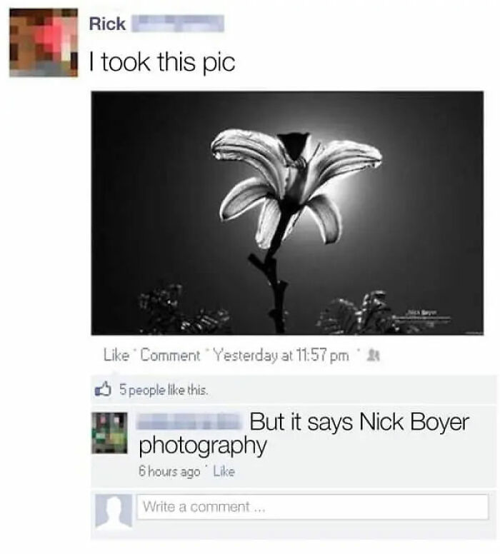 Wait, They Really Got Caught Lying?!