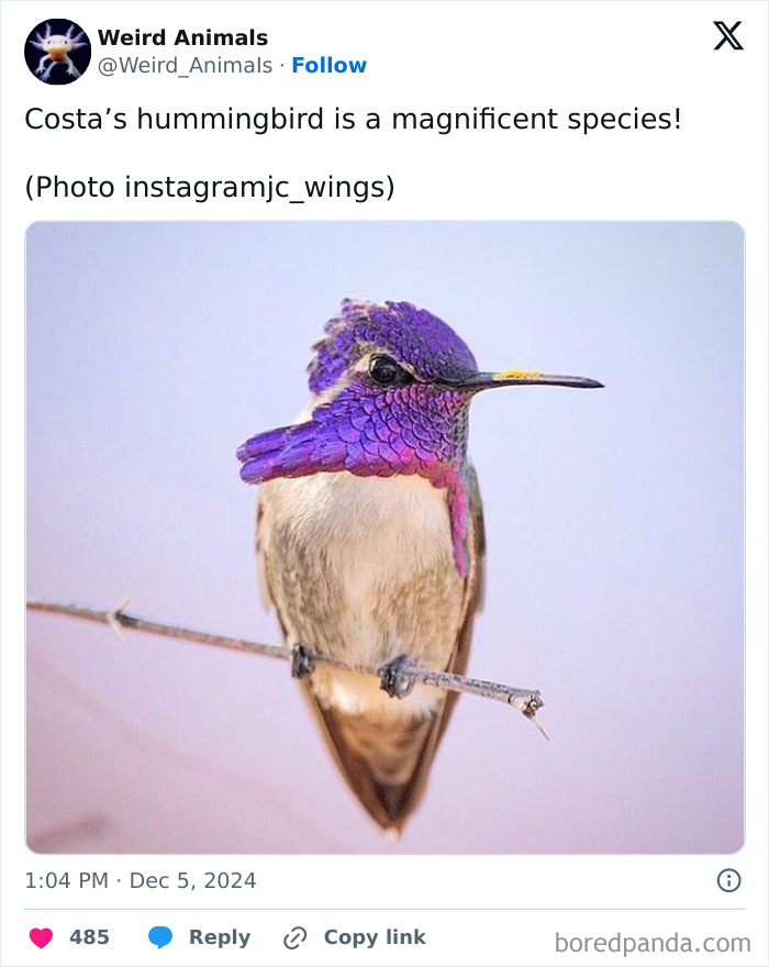 Wait Till You See These Crazy Creatures You've Never Heard Of!