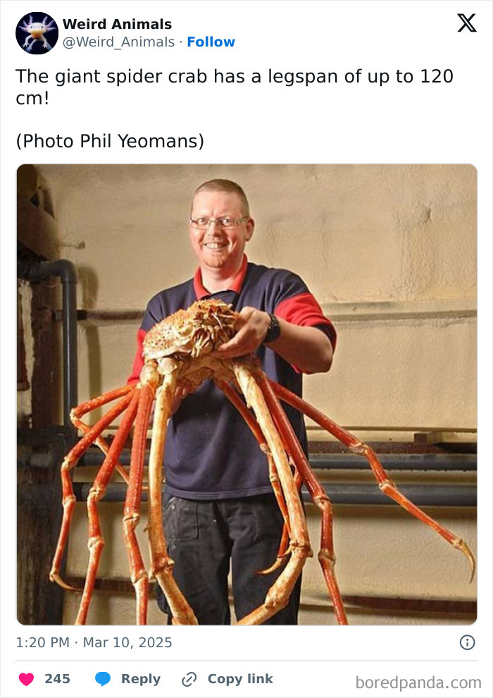 Wait Till You See These Crazy Creatures You've Never Heard Of!
