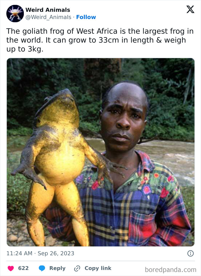 Wait Till You See These Crazy Creatures You've Never Heard Of!