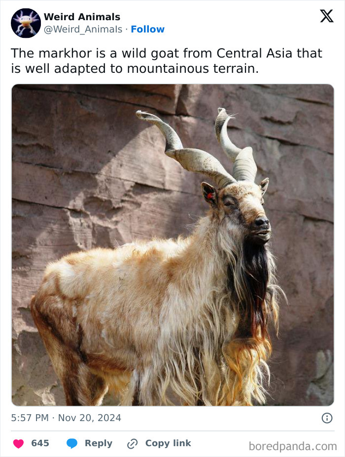 Wait Till You See These Crazy Creatures You've Never Heard Of!