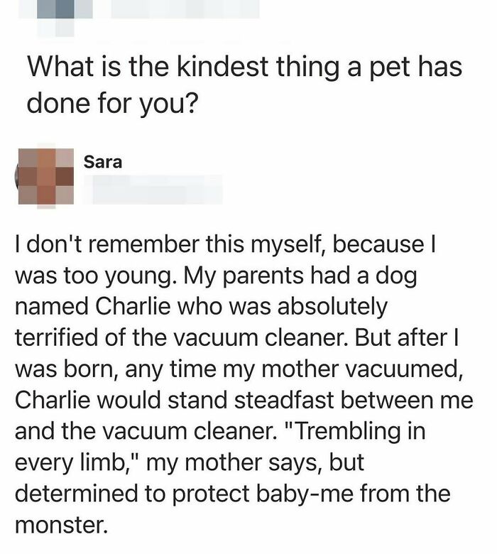 Who’s Afraid of Monsters? These Kiddo & Parent Duo Aren't!