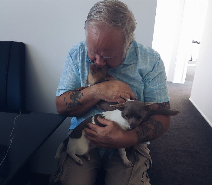 The 50 Wholesome Pics That Will Totally Brighten Your Day (No Kidding!)