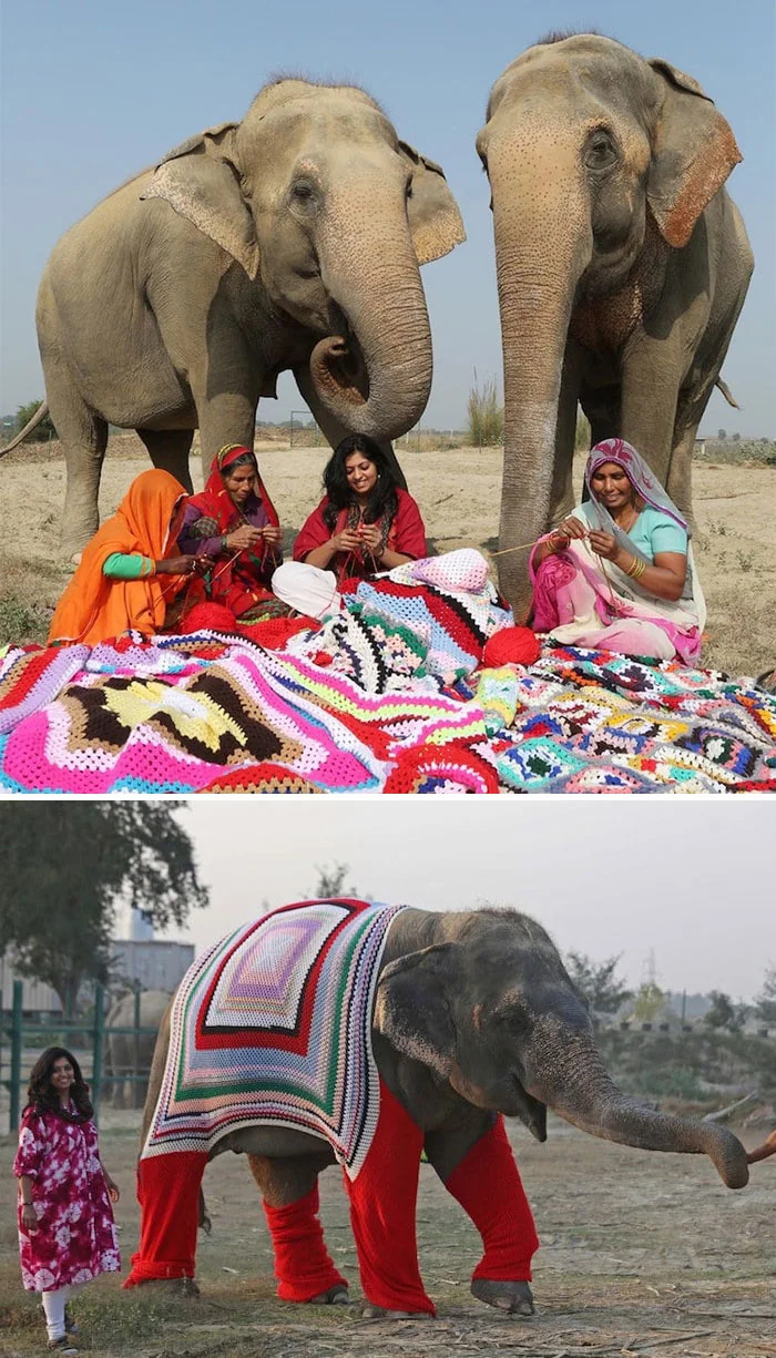 The 50 Wholesome Pics That Will Totally Brighten Your Day (No Kidding!)