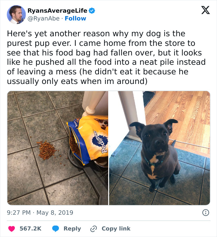 The 50 Wholesome Pics That Will Totally Brighten Your Day (No Kidding!)