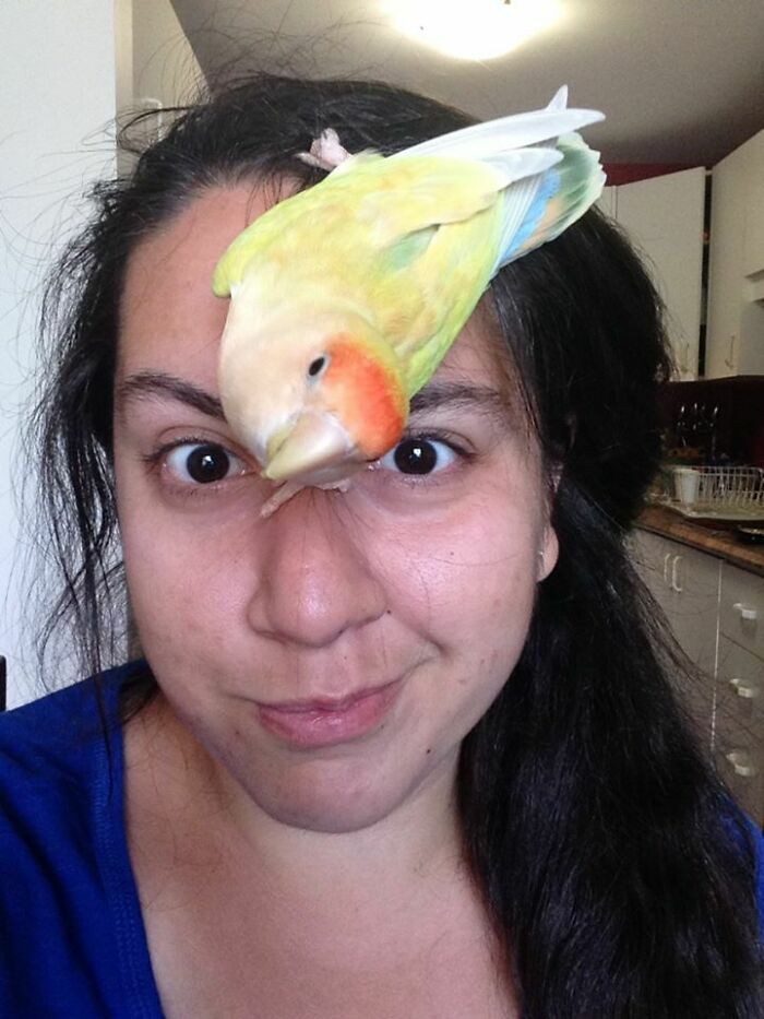 The 50 Wholesome Pics That Will Totally Brighten Your Day (No Kidding!)