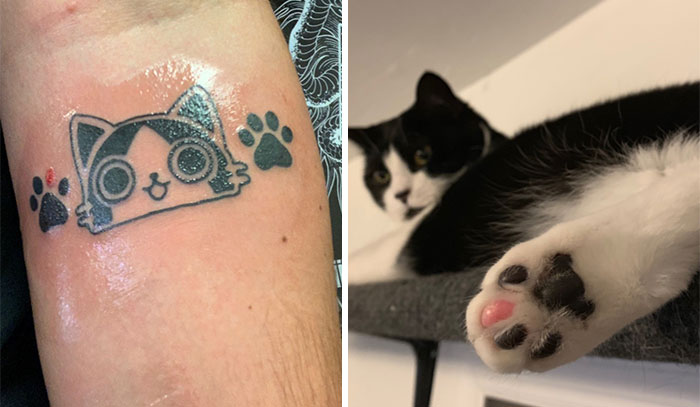 The 50 Wholesome Pics That Will Totally Brighten Your Day (No Kidding!)