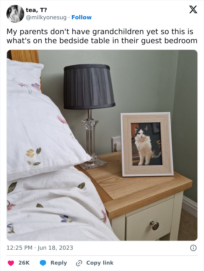 The 50 Wholesome Pics That Will Totally Brighten Your Day (No Kidding!)