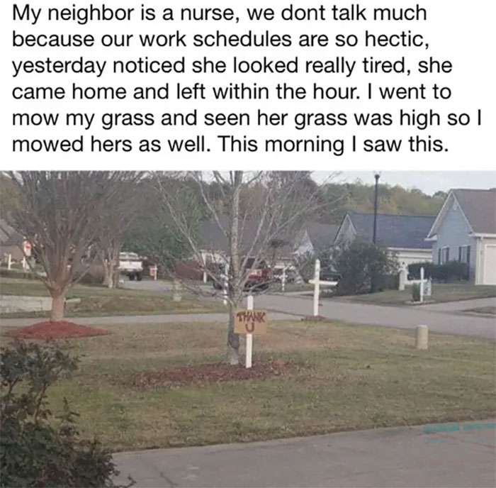 The 50 Wholesome Pics That Will Totally Brighten Your Day (No Kidding!)