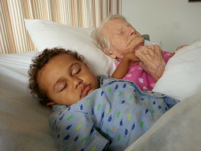The 50 Wholesome Pics That Will Totally Brighten Your Day (No Kidding!)