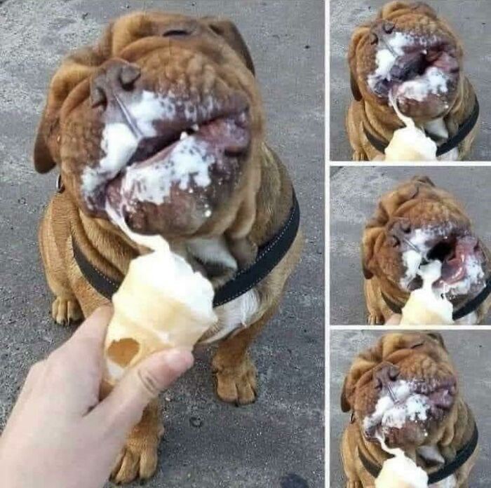 The 50 Wholesome Pics That Will Totally Brighten Your Day (No Kidding!)
