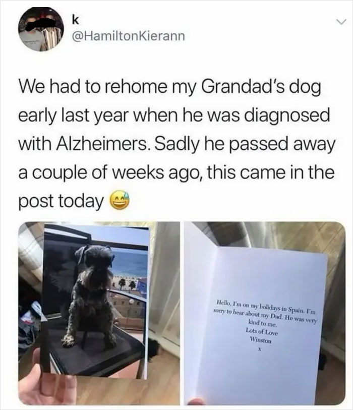 The 50 Wholesome Pics That Will Totally Brighten Your Day (No Kidding!)