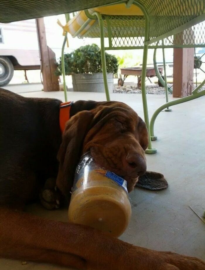 The 50 Wholesome Pics That Will Totally Brighten Your Day (No Kidding!)