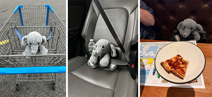The 50 Wholesome Pics That Will Totally Brighten Your Day (No Kidding!)