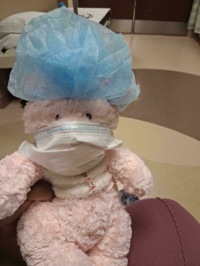 The 50 Wholesome Pics That Will Totally Brighten Your Day (No Kidding!)