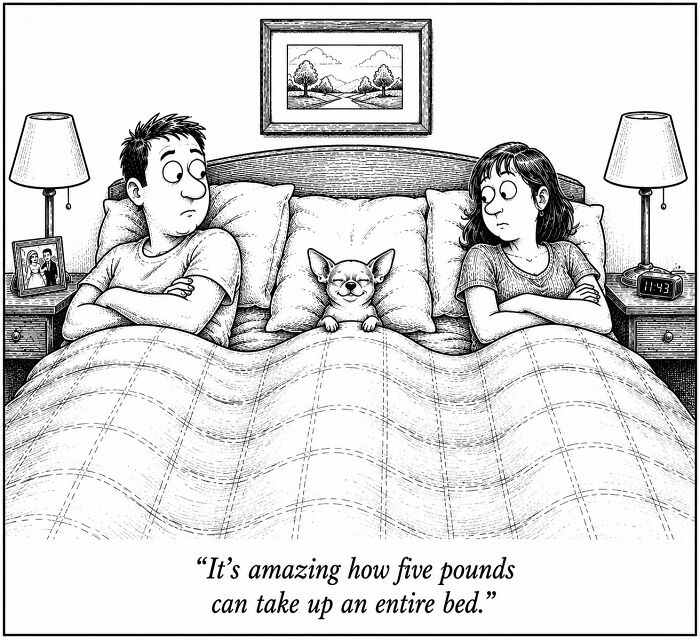 Wait, Someone Imagined Life Through a Dog’s Eyes — And It’s Hilarious!