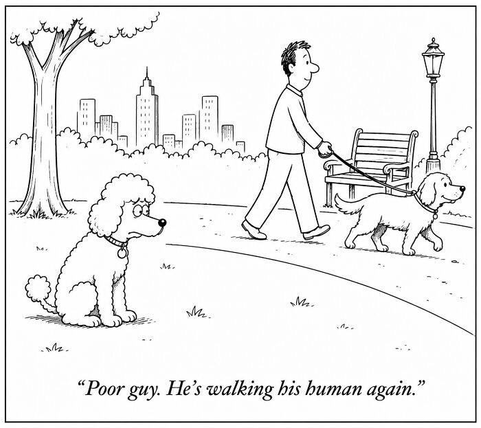 Wait, Someone Imagined Life Through a Dog’s Eyes — And It’s Hilarious!