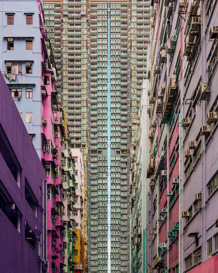 "Den City IV"