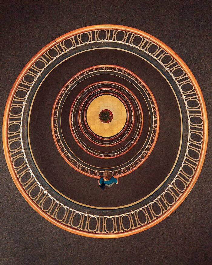 "Concentric Symmetry"