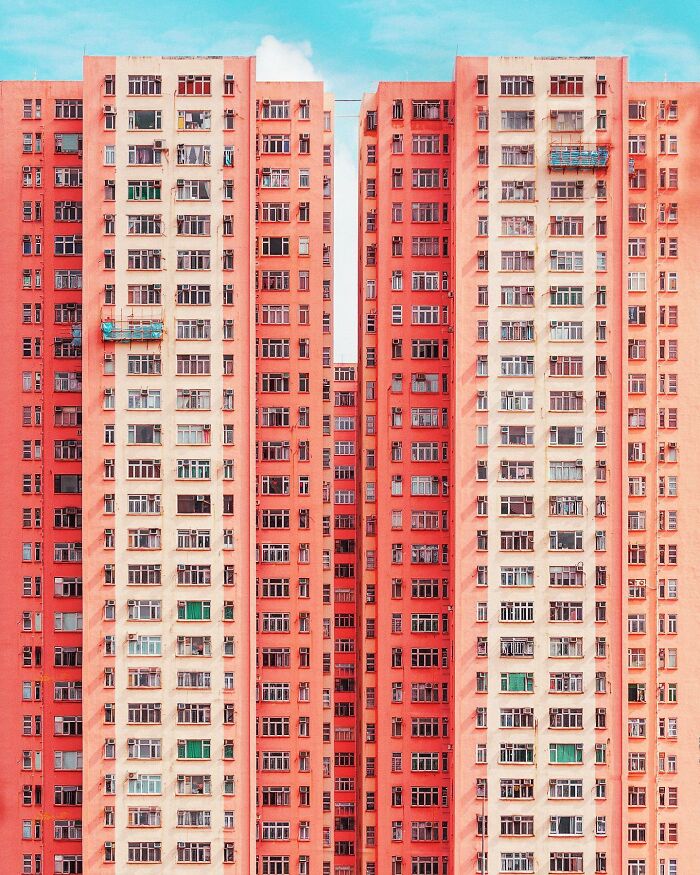 "Twin Pinks"
