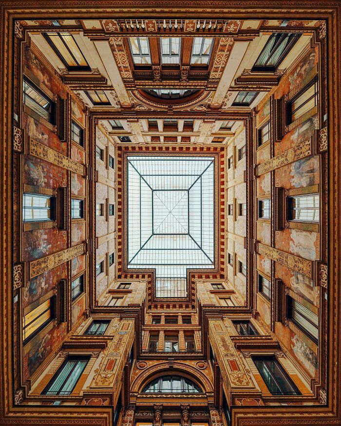 "Ascending Vistas"