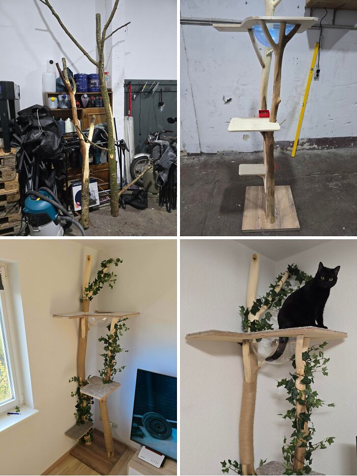 My First DIY Cat Tree Made from Real Wood — Cat Approved!