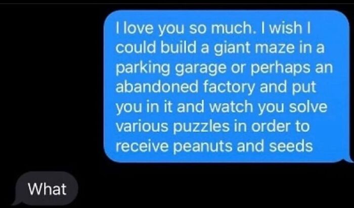 Wait, People Actually Sent These Weird Texts?! 53 Hilariously Bizarre DMs