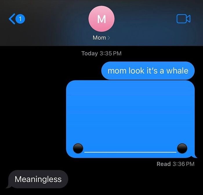 Wait, People Actually Sent These Weird Texts?! 53 Hilariously Bizarre DMs