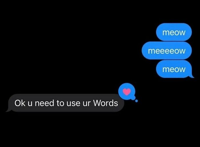 Wait, People Actually Sent These Weird Texts?! 53 Hilariously Bizarre DMs