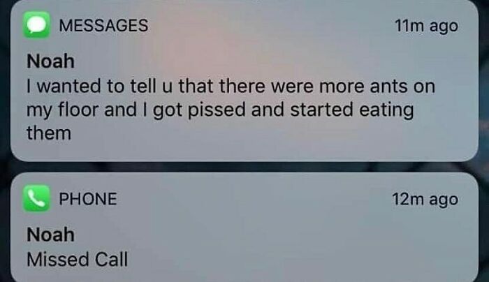 Wait, People Actually Sent These Weird Texts?! 53 Hilariously Bizarre DMs