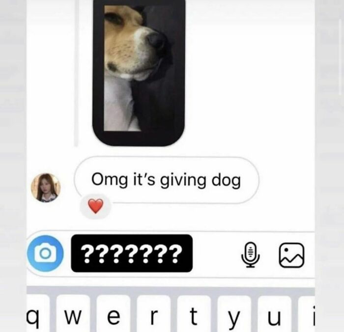 Wait, People Actually Sent These Weird Texts?! 53 Hilariously Bizarre DMs