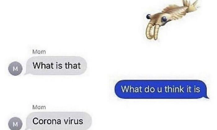 Wait, People Actually Sent These Weird Texts?! 53 Hilariously Bizarre DMs