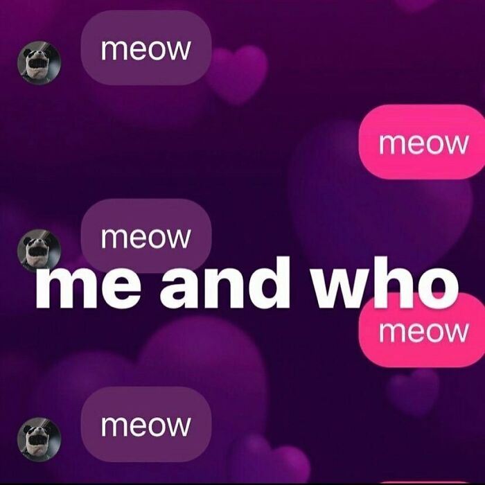 Wait, People Actually Sent These Weird Texts?! 53 Hilariously Bizarre DMs