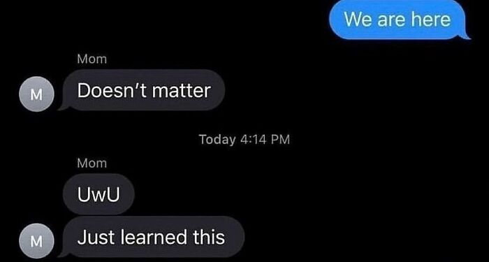 Wait, People Actually Sent These Weird Texts?! 53 Hilariously Bizarre DMs
