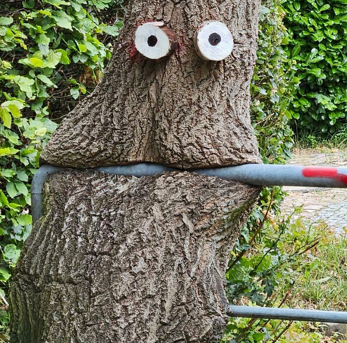 Found This Tree Snack In Hamburg