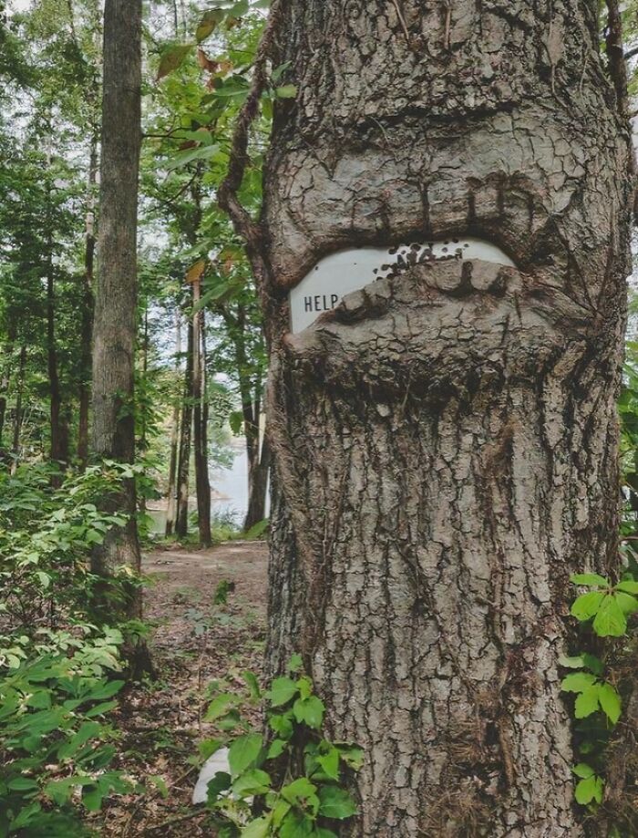 Hangry Tree Devours Road Sign
