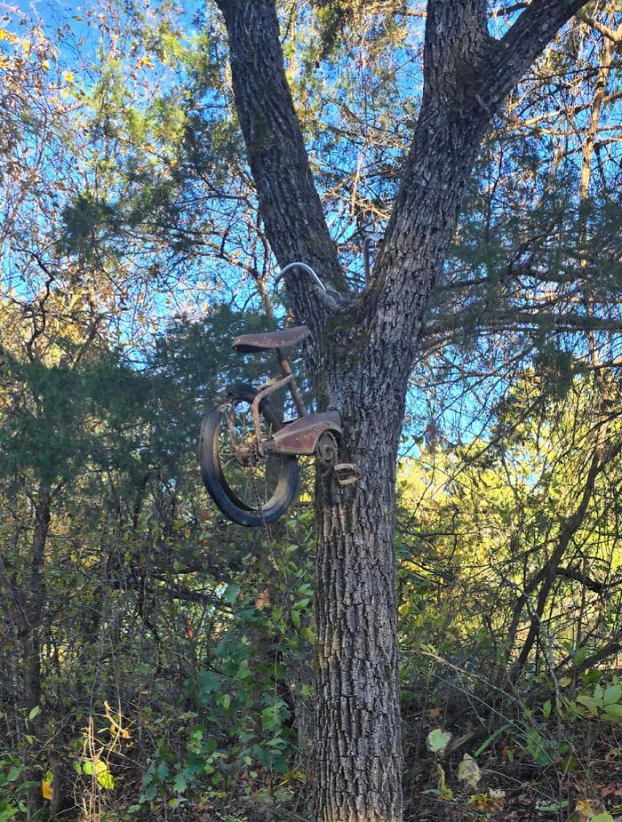 Y'all Like Trees Munching Things? Here's More!
