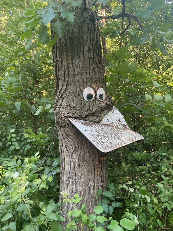 Kudos to the Person Who Left This for the Tree