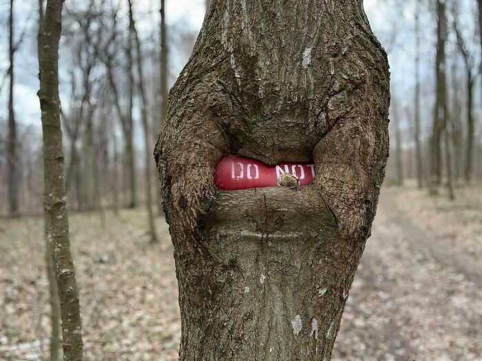 Wait… Trees Actually Munch On Stuff?! You Have To See This!