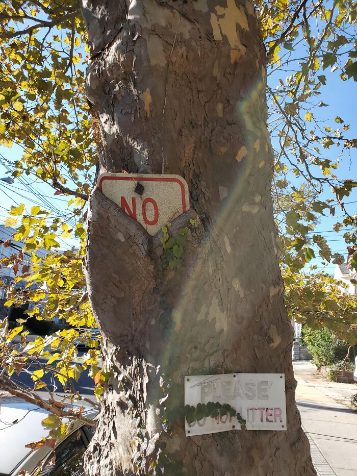 Wait… Trees Actually Munch On Stuff?! You Have To See This!