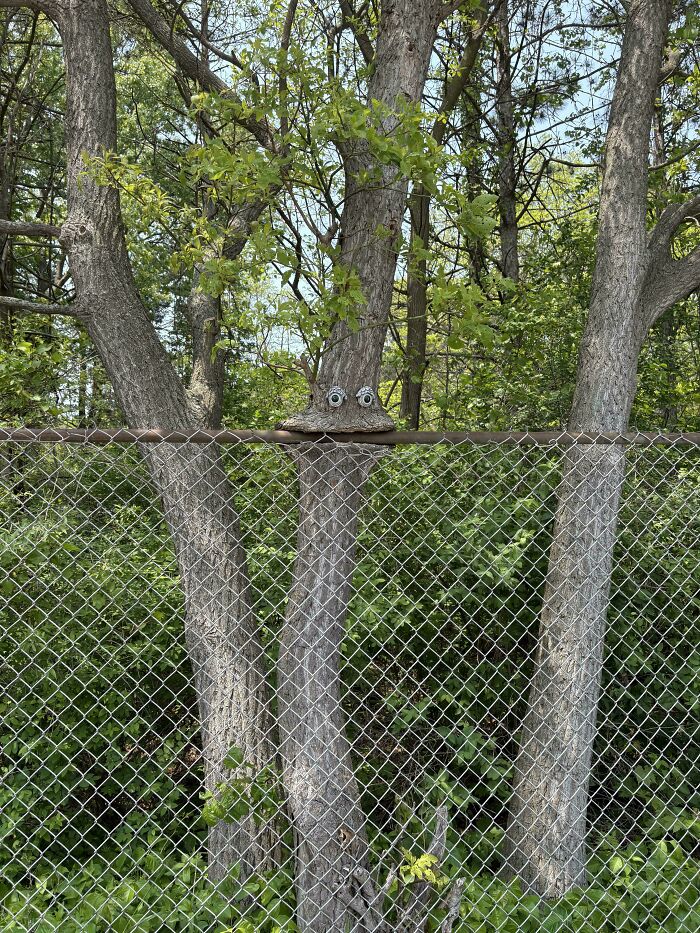 Wait… Trees Actually Munch On Stuff?! You Have To See This!