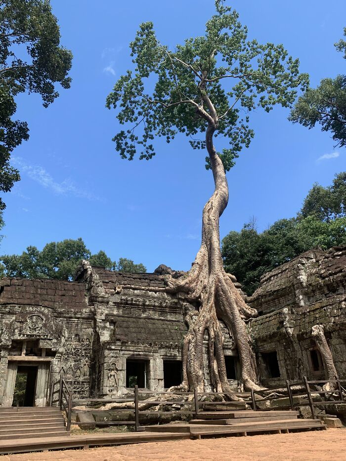 Wait… Trees Actually Munch On Stuff?! You Have To See This!