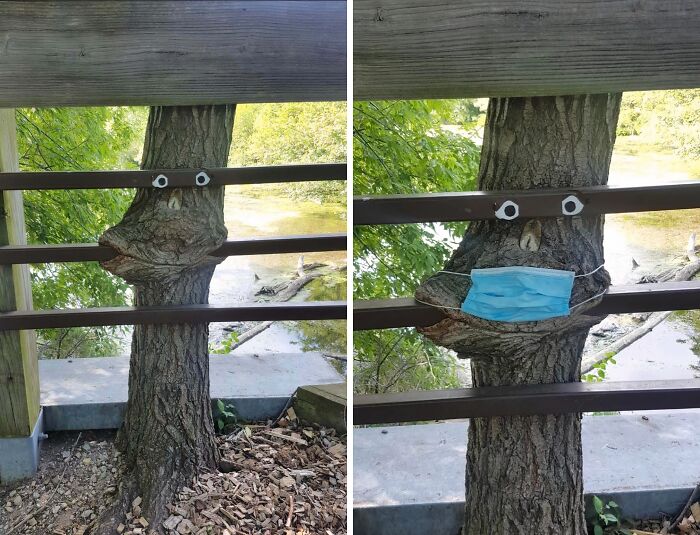 Wait… Trees Actually Munch On Stuff?! You Have To See This!