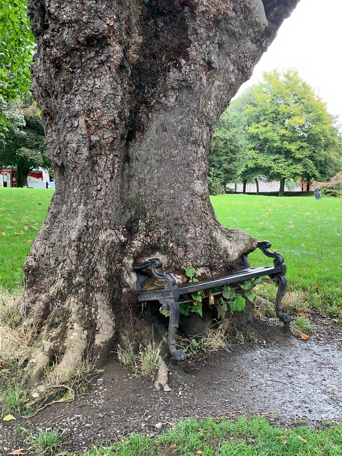 Wait… Trees Actually Munch On Stuff?! You Have To See This!