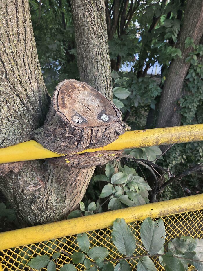 Wait… Trees Actually Munch On Stuff?! You Have To See This!