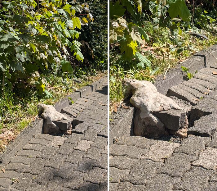 Wait… Trees Actually Munch On Stuff?! You Have To See This!