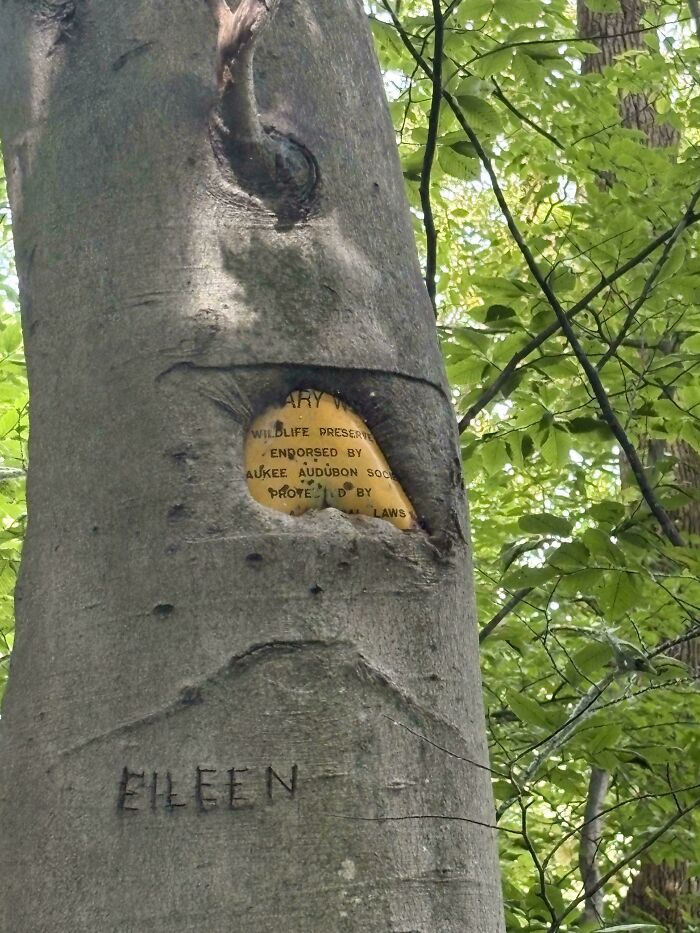 Wait… Trees Actually Munch On Stuff?! You Have To See This!