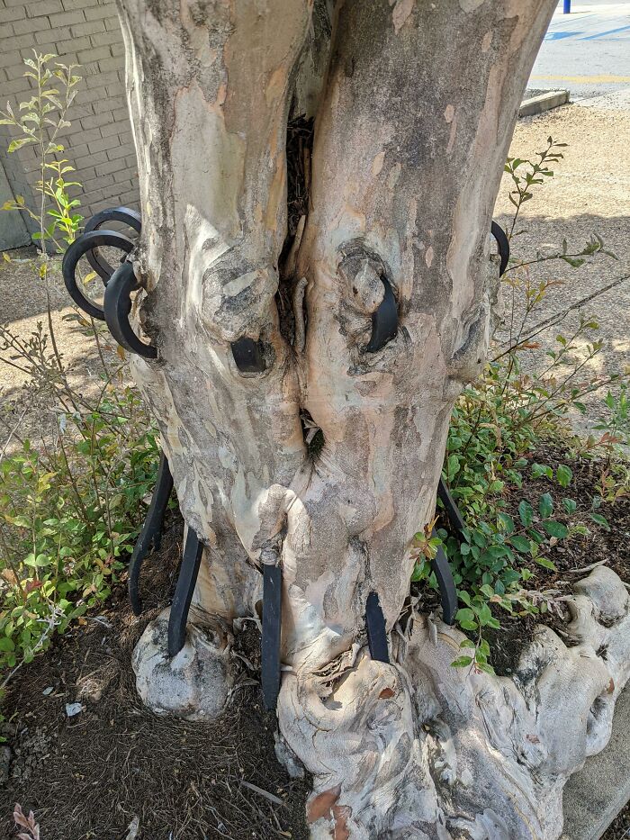 Wait… Trees Actually Munch On Stuff?! You Have To See This!