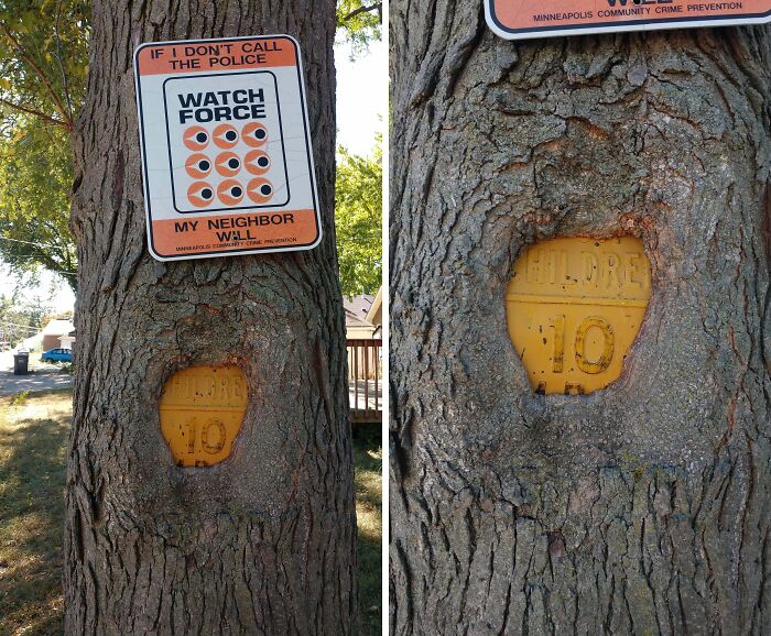 Wait… Trees Actually Munch On Stuff?! You Have To See This!