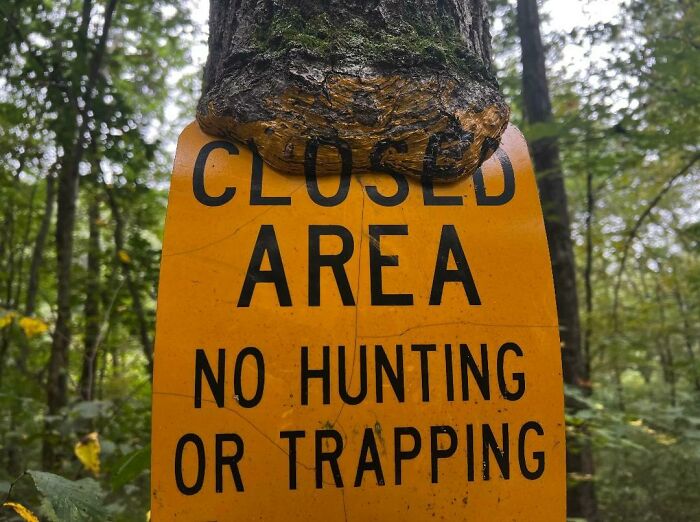 Wait… Trees Actually Munch On Stuff?! You Have To See This!